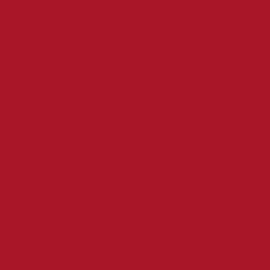 Грунт-эмаль по ржавчине 3 в 1 Текс РжавоStop красный — копия